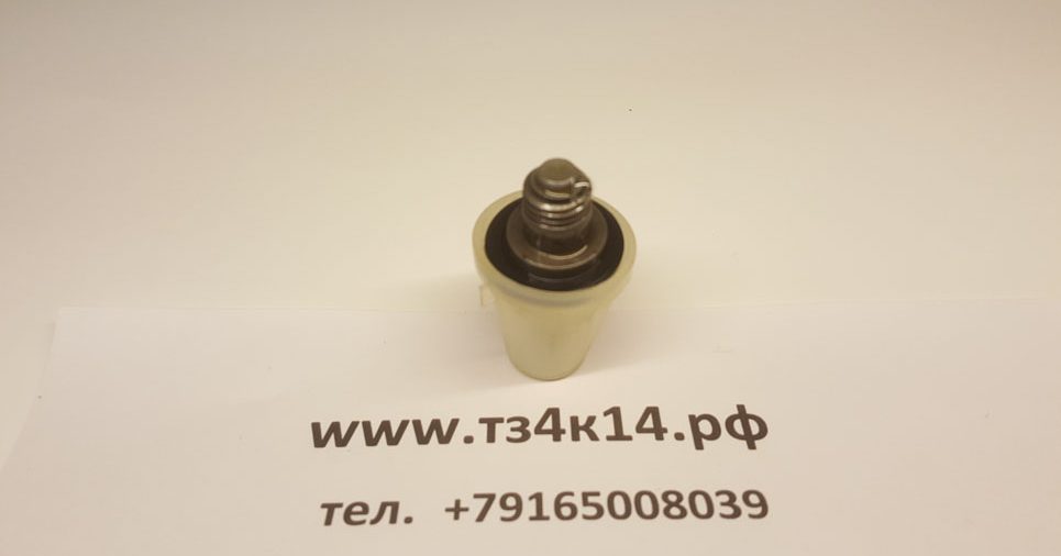 Клапан нагнетательный (11012, TZ4K14)